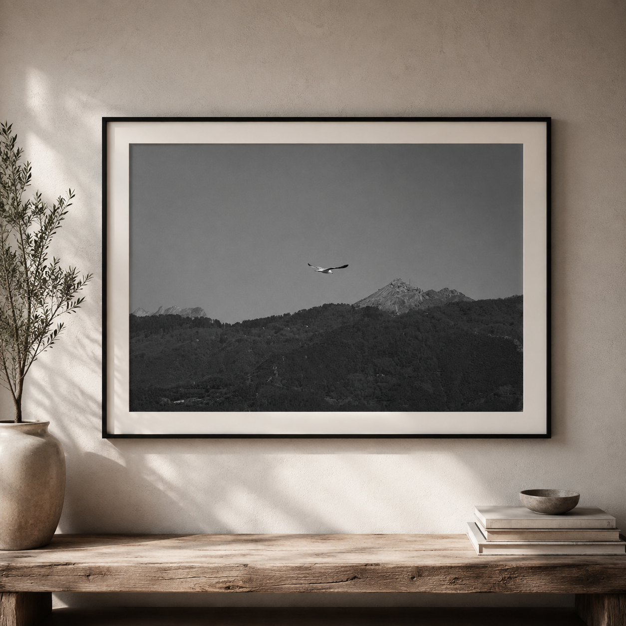 Volo sulle Apuane 2026 - Forte dei Marmi - foto artistica file digitale scarica download